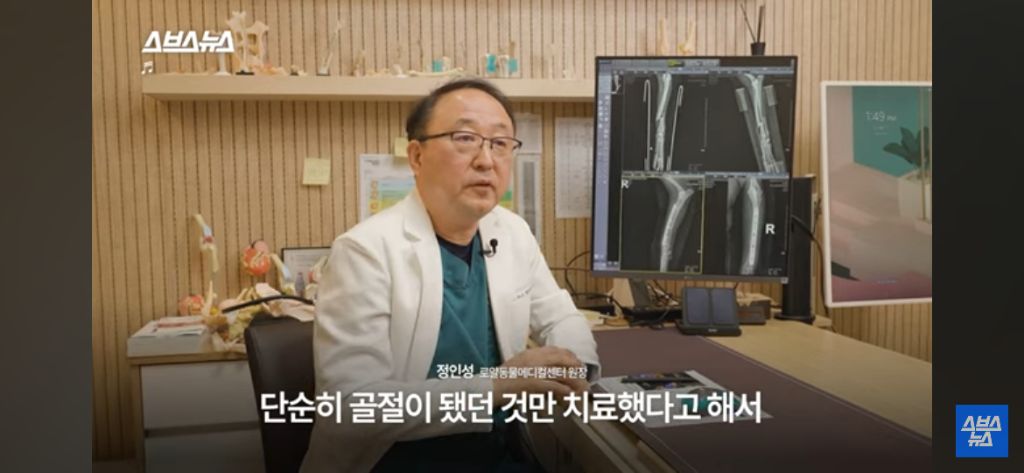 부부싸움 중 2층에서 던져진 강아지 그 뒷 이야기 | 인스티즈