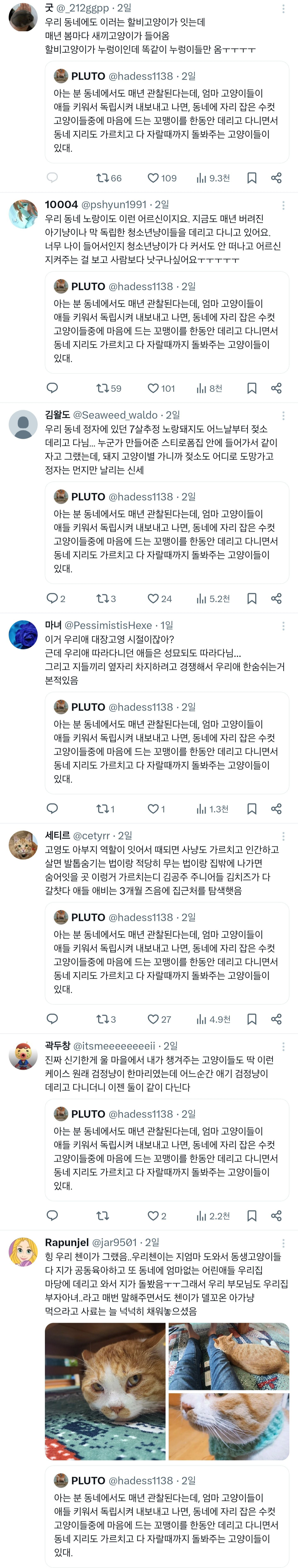 우리집 어르신 고양이는 몇년째 애기 길냥이 데려와서 성묘가 될때까지 돌봐주는 일을 하고 있다.twt | 인스티즈