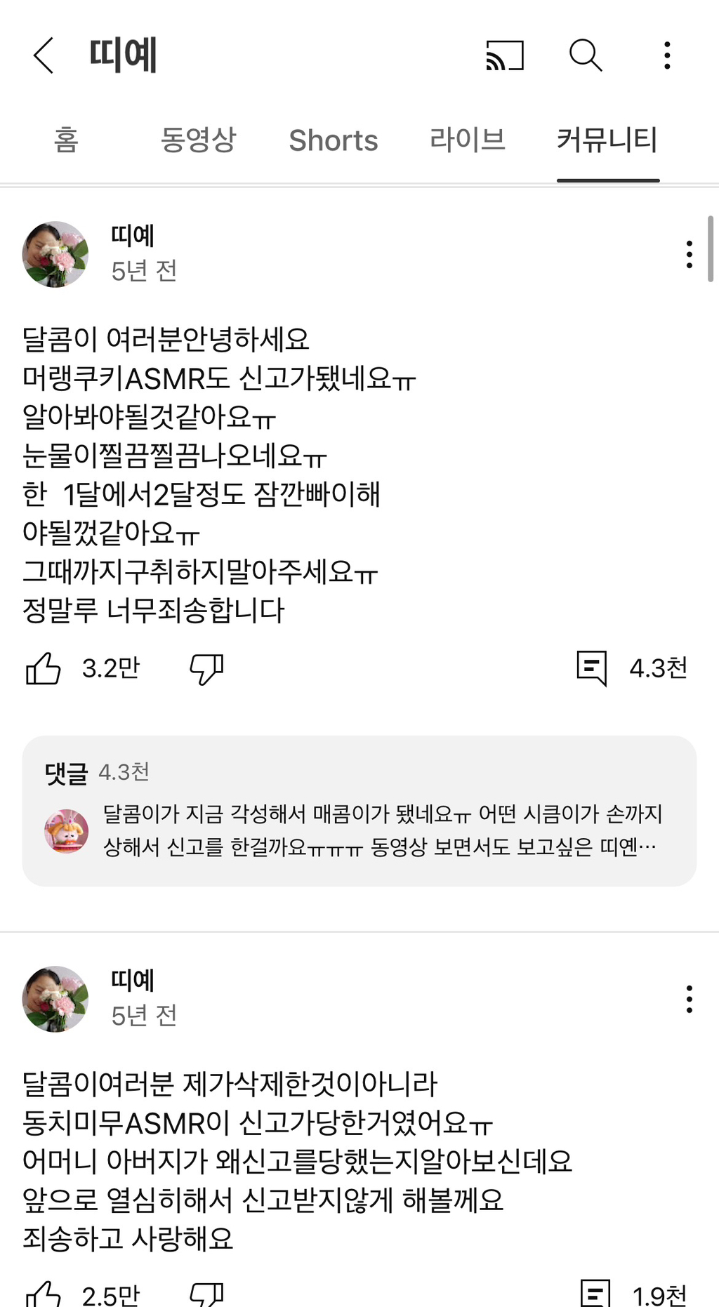 우리가 사랑했던 띠예 성장과정 | 인스티즈