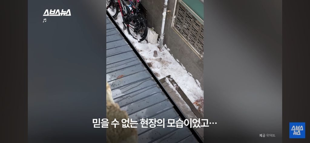 부부싸움 중 2층에서 던져진 강아지 그 뒷 이야기 | 인스티즈