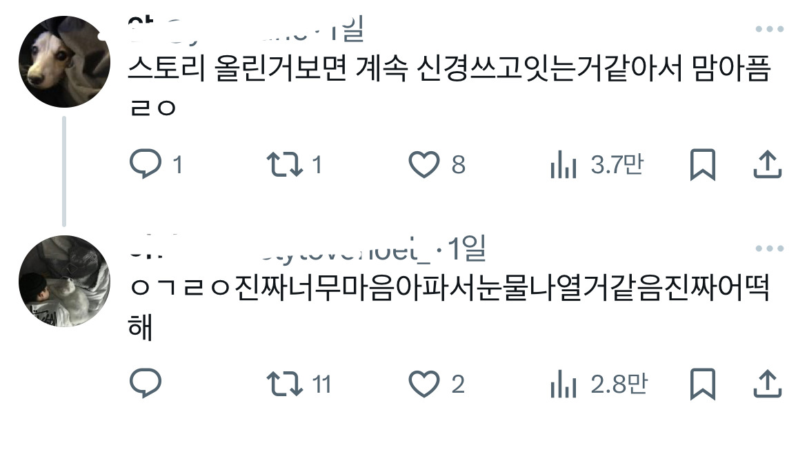 장제원 아들이 공연 중 물티슈에 맞아서 슬픈 팬....twt | 인스티즈