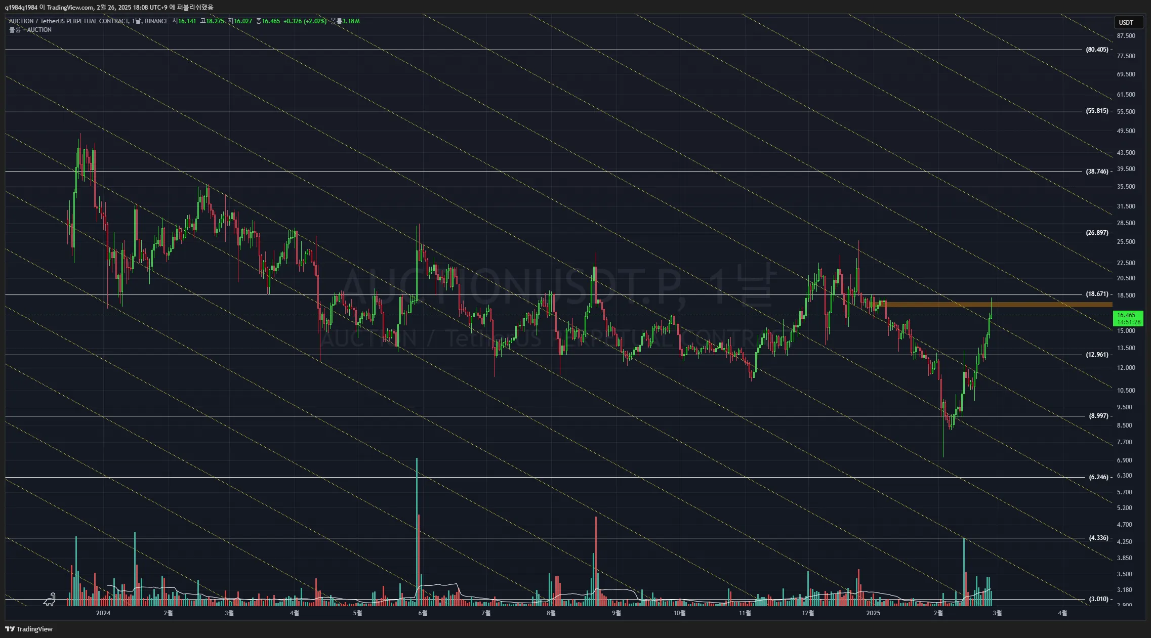 44일차 작도훈련 AUCTION / STPT