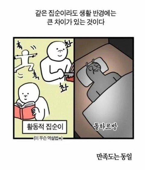 집순이도 차이가 있다.jpg | 인스티즈