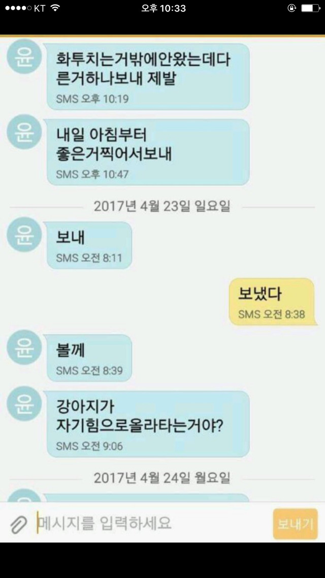 강아지 사진보내 제발.jpg | 인스티즈