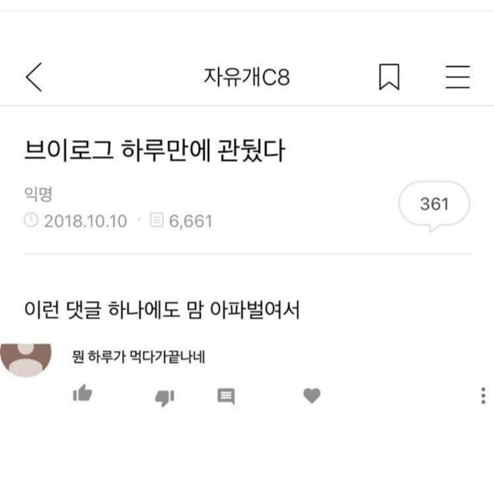 브이로그 하루만에 관뒀다 | 인스티즈