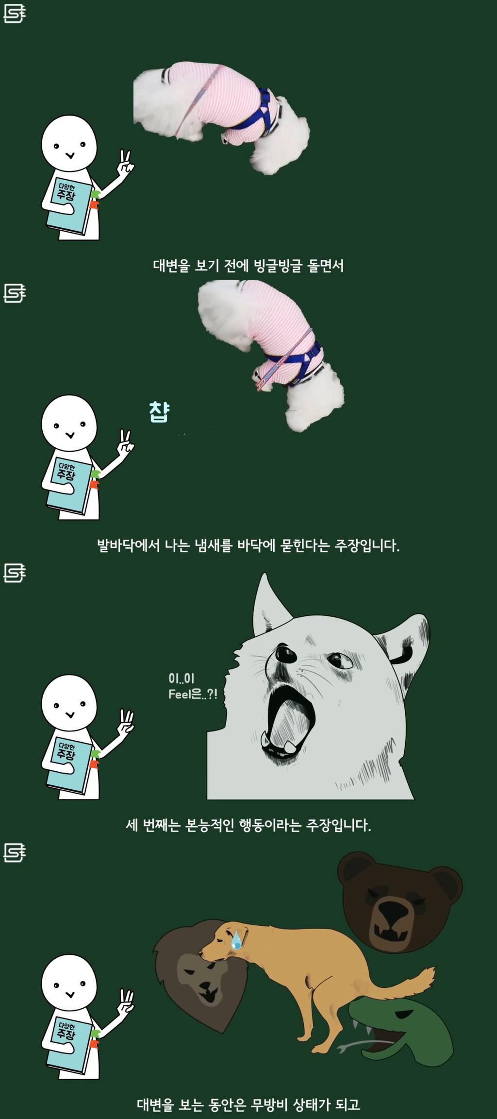 강아지는 왜 똥을 싸기 전에 빙글빙글 돌까? | 인스티즈