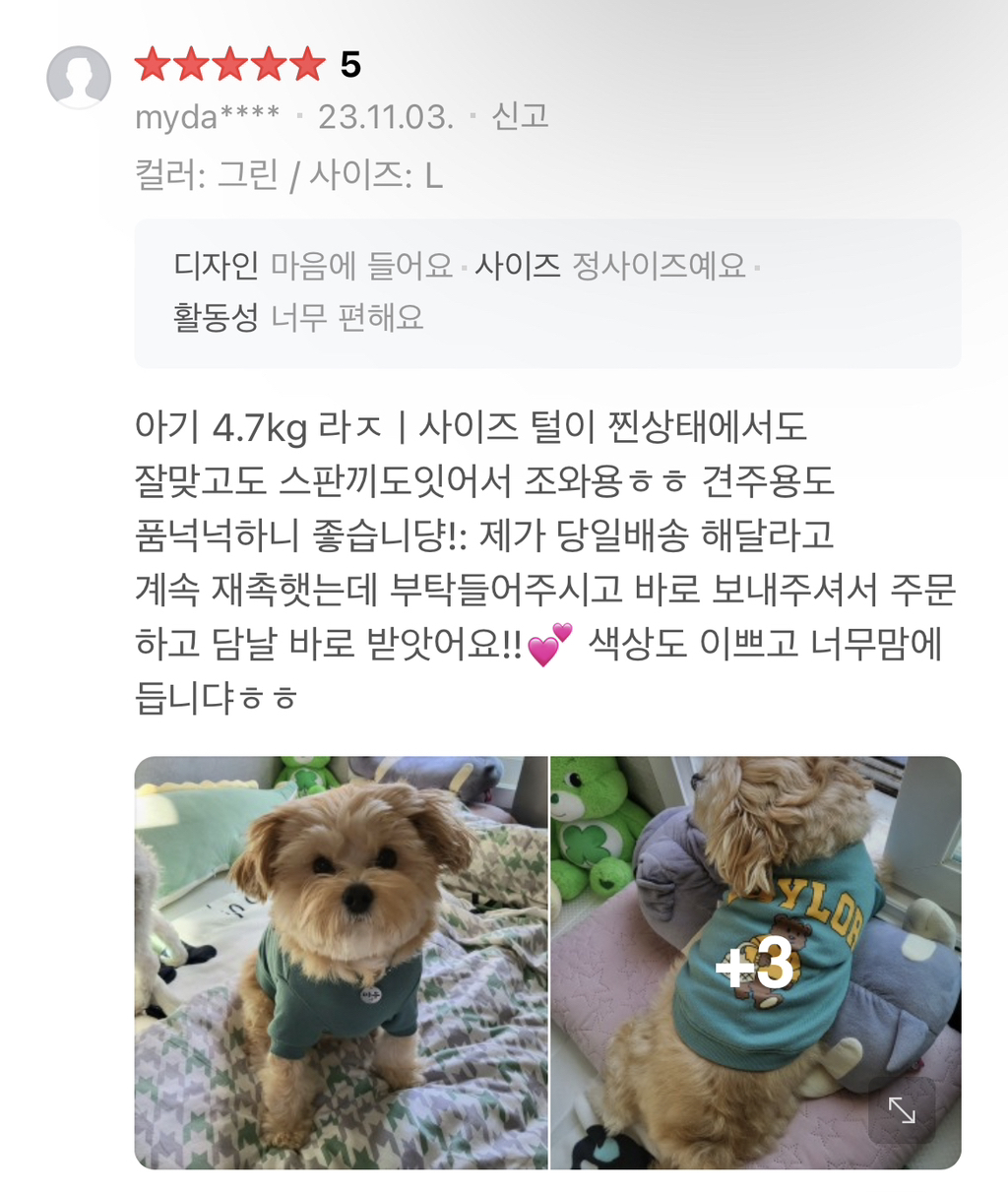 ❤️‍🔥🚨🐶 🐱 반갑다냥 다시 돌아왔다개! 주인님들 클릭하세요 당장 🚨❤️‍🔥 | 인스티즈