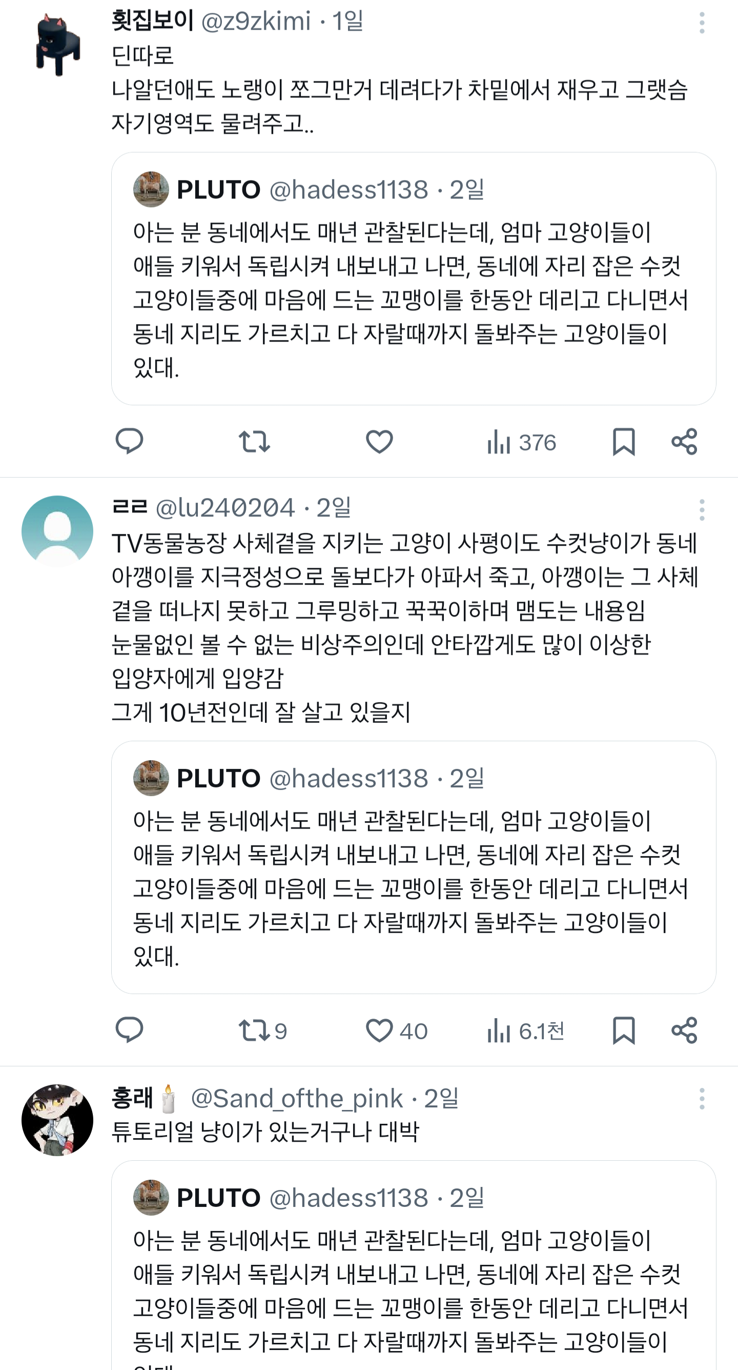 우리집 어르신 고양이는 몇년째 애기 길냥이 데려와서 성묘가 될때까지 돌봐주는 일을 하고 있다.twt | 인스티즈