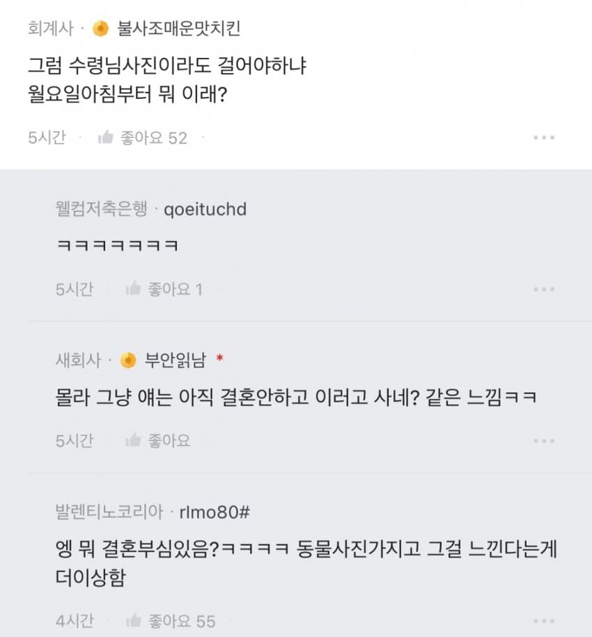 요즘 나이먹고 카톡 프사에 동물 해두면 왜케 철없어보이지 | 인스티즈