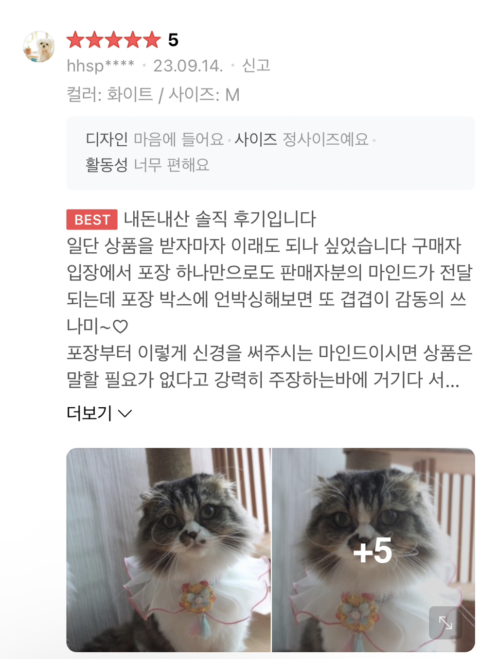 ❤️‍🔥🚨🐶 🐱 반갑다냥 다시 돌아왔다개! 주인님들 클릭하세요 당장 🚨❤️‍🔥 | 인스티즈