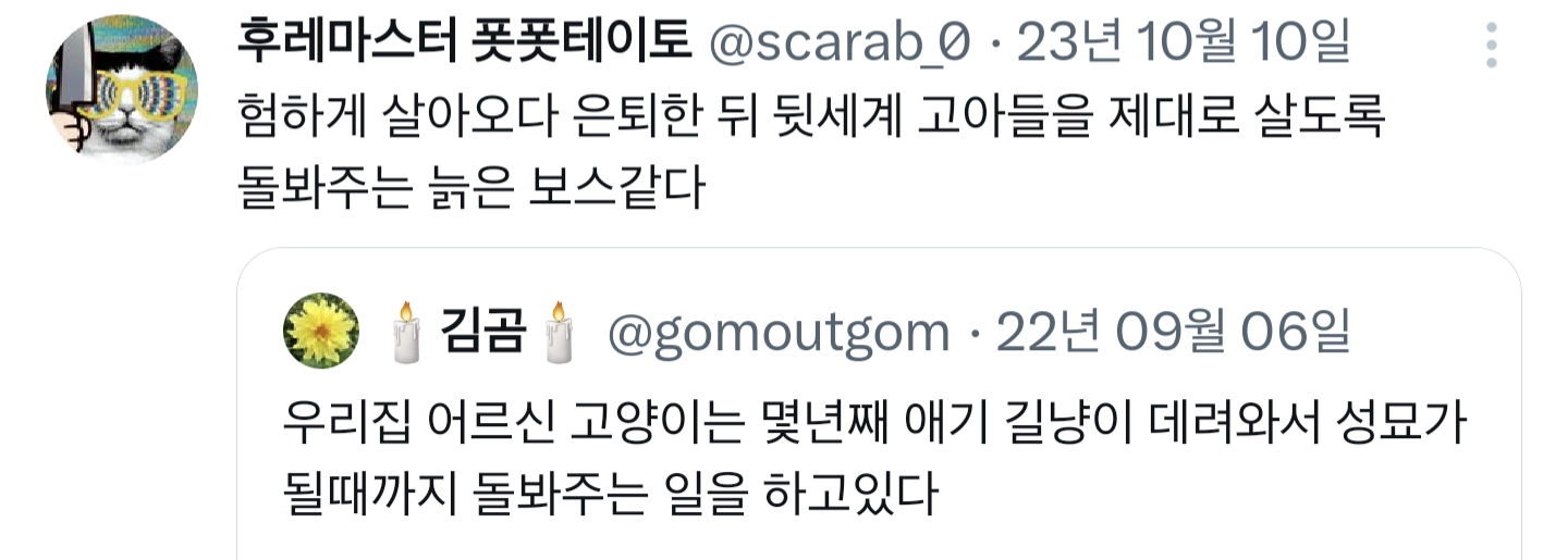 우리집 어르신 고양이는 몇년째 애기 길냥이 데려와서 성묘가 될때까지 돌봐주는 일을 하고 있다.twt | 인스티즈