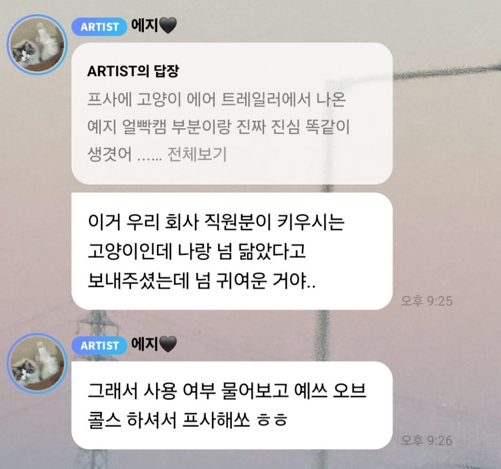 있지 예지가 닮은거 같다며 받았다는 고양이 사진(ft.회사직원분) | 인스티즈