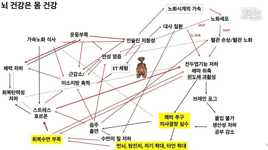 저속노화 교수님이 쇼닥터가 아닐 것 같다는 믿음의 근거 | 인스티즈