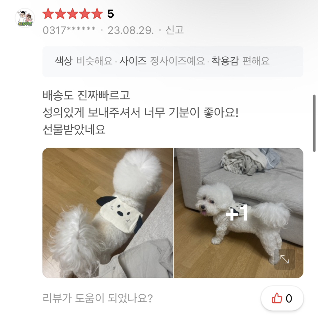 ❤️‍🔥🚨🐶 🐱 반갑다냥 다시 돌아왔다개! 주인님들 클릭하세요 당장 🚨❤️‍🔥 | 인스티즈