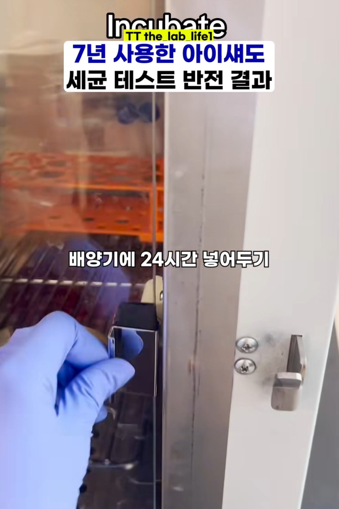 회사원a 가루네버다이 실험 아는 사람? | 인스티즈