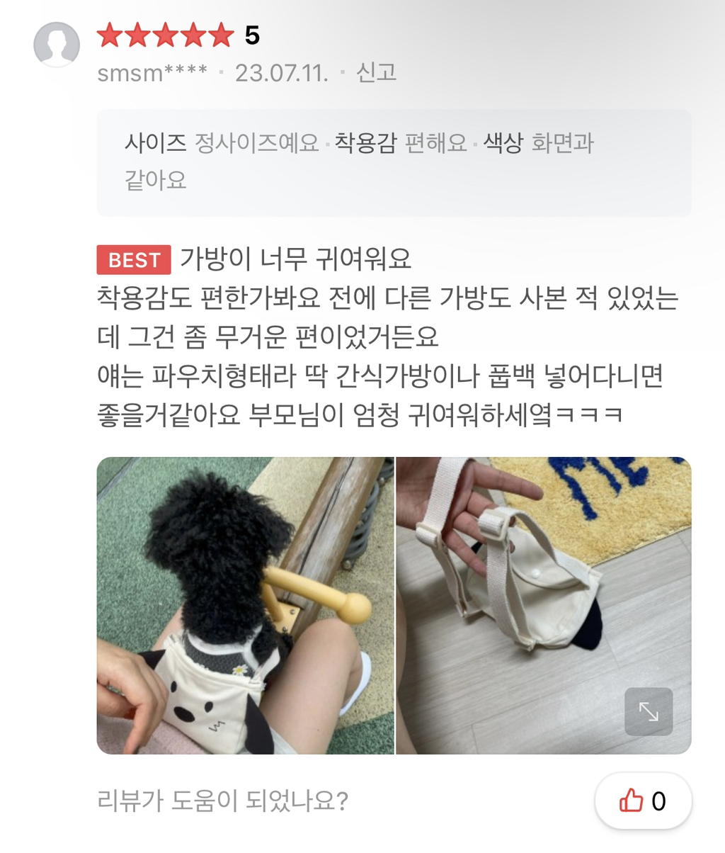 ❤️‍🔥🚨🐶 🐱 반갑다냥 다시 돌아왔다개! 주인님들 클릭하세요 당장 🚨❤️‍🔥 | 인스티즈