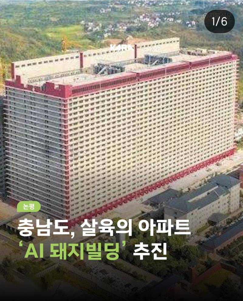 충남, 살육의 아파트 돼지빌딩 추진... 지옥이 현실로 | 인스티즈