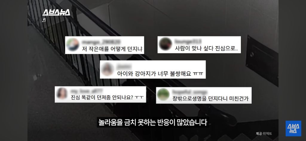 부부싸움 중 2층에서 던져진 강아지 그 뒷 이야기 | 인스티즈