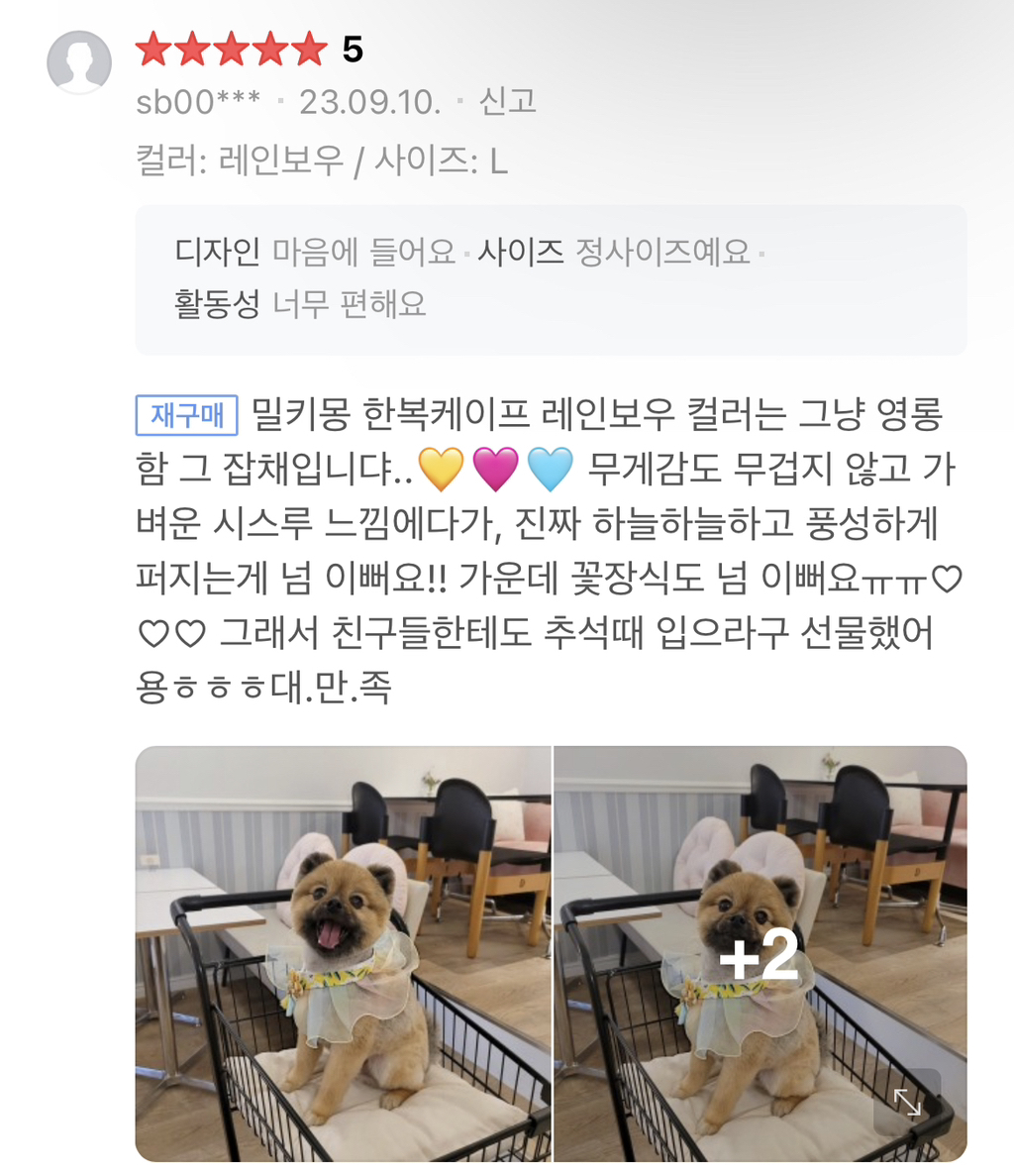 ❤️‍🔥🚨🐶 🐱 반갑다냥 다시 돌아왔다개! 주인님들 클릭하세요 당장 🚨❤️‍🔥 | 인스티즈