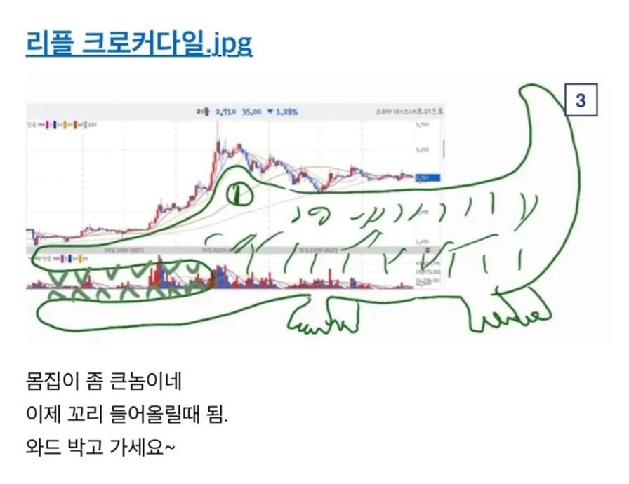 레전드로 남을 코인판 매매기법