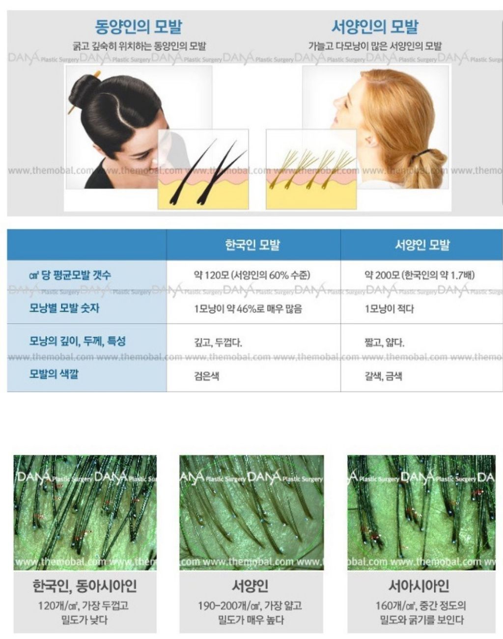 라푼젤 실사화하면 동양인 여자가 딱인 이유 | 인스티즈