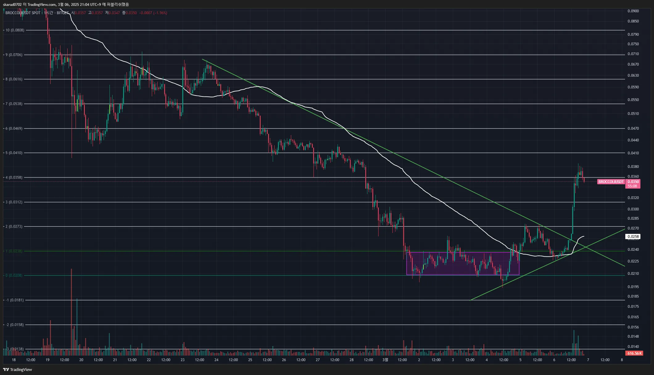 41일차  BROCCOLI/FARTCOIN