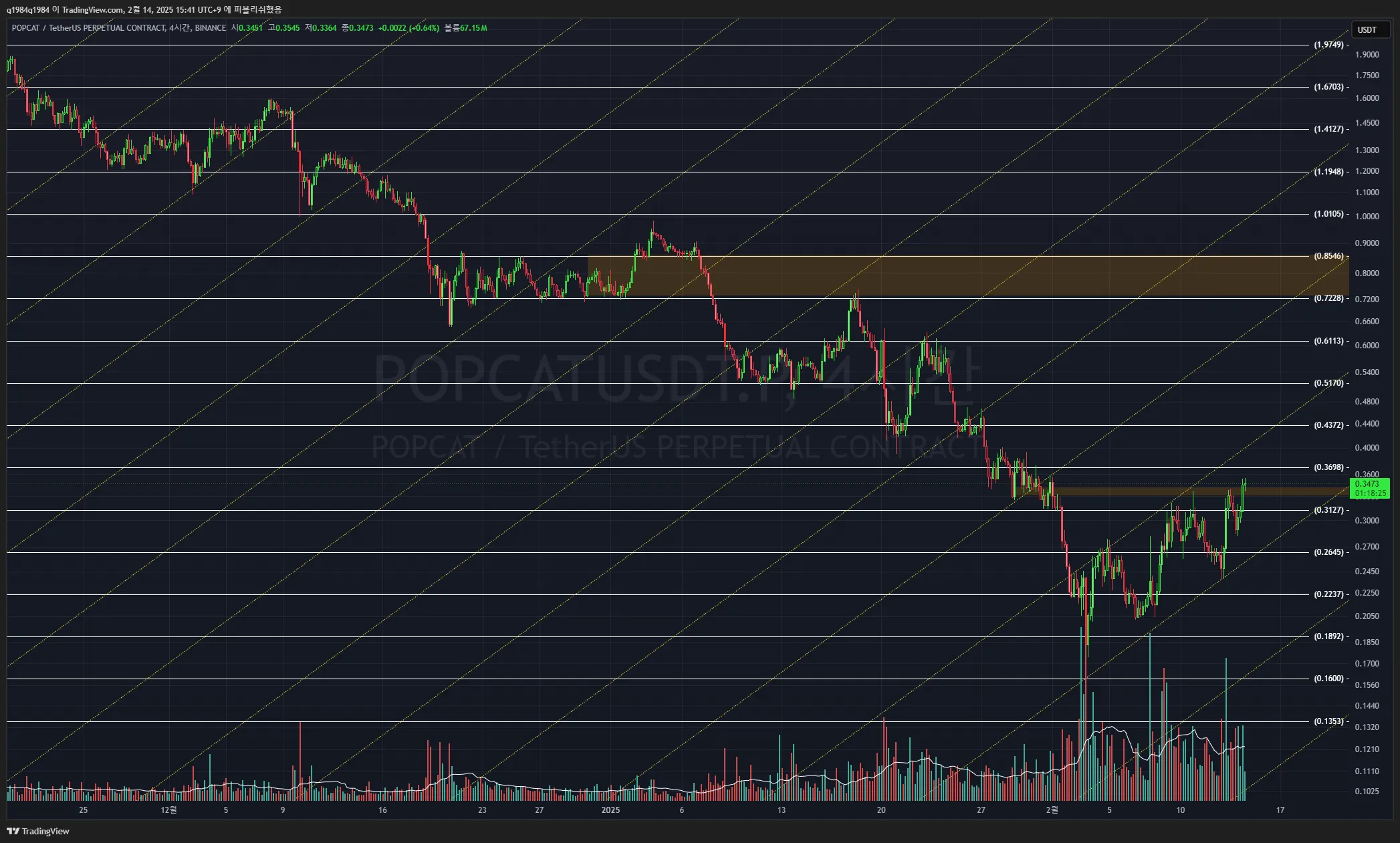 32일차 작도훈련 POPCAT / LISTA