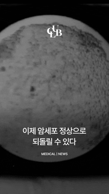 암세포 정상세포로 되돌리는 방법 찾아냄 | 인스티즈