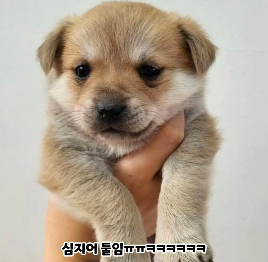 회사에 생긴 역대급 복지 | 인스티즈