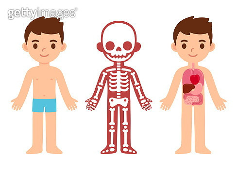 신체 하나를 새걸로 갈면 어디를 하고 싶은지? | 인스티즈