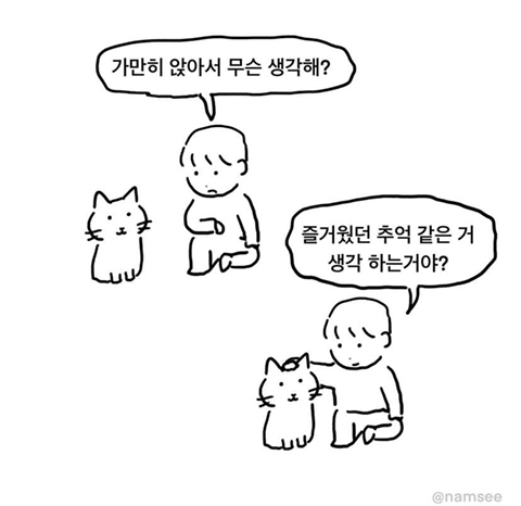 내 고양이에게 물어보고 싶은 것들 | 인스티즈